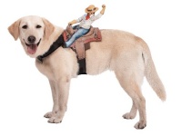 Paper Magic Group Dog Riders Cowboy Pet Costume Paper Magic Group Dog Riders Cowboy Pet Costume