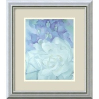 White Rose with Larkspur No. 2 by Georgia O'Keeffe, Framed Print Art - 15.99 x 13.99 White Rose with Larkspur No. 2 by Georgia O'Keeffe, Framed Print Art - 15.99 x 13.99