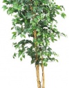 Nearly Natural 5209 Ficus Silk Tree, 6-Feet, Green
