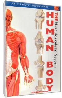 Just The Facts: The Human Body - Musculoskeletal Just The Facts: The Human Body - Musculoskeletal