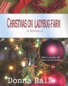 Christmas on Ladybug Farm: A Novella