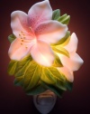 Azalea Night Light - Ibis & Orchid Flowers of Light Collection