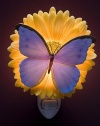 Blue Butterfly & Gerber Daisy Night Light