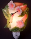 Hummingbird & Trumpet Vine Night Light Ibis & Orchid Flowers of Light