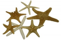 U.S. Shell, Inc. Starfish Mix U.S. Shell, Inc. Starfish Mix