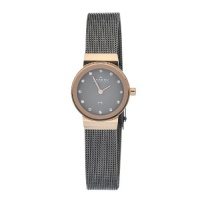 Skagen Women's 358XSRM Quartz Stainless Steel Grey Dial Watch Skagen Women's 358XSRM Quartz Stainless Steel Grey Dial Watch