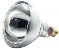 Phillips 416743 Heat Lamp 250-Watt BR40 Clear Flood Light Bulb Phillips 416743 Heat Lamp 250-Watt BR40 Clear Flood Light Bulb