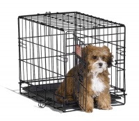 Midwest 1518 iCrate Single-Door Pet Crate 18-By-12-By-14-Inch