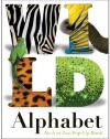 Wild Alphabet: An A to Zoo Pop-up Book