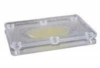 Bed Bug Alert 2-pack Bed Bug Alert 2-pack