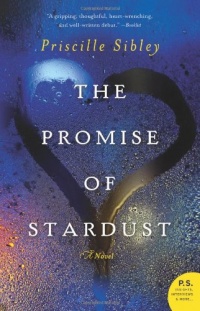 The Promise of Stardust: A Novel The Promise of Stardust: A Novel