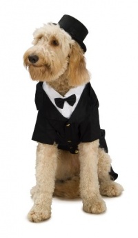 Dapper Dog Tuxedo Pet Costume, Large Dapper Dog Tuxedo Pet Costume, Large