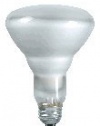 Philips 248872 Soft White 65-Watt BR30 Indoor Flood Light Bulb, 12-Pack