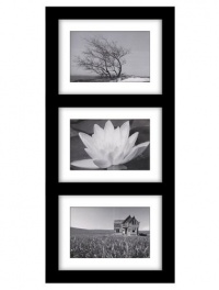 Malden 2061-346 Southlake 4 by 6 Matted Wall Frame 3 Opening, Black Malden 2061-346 Southlake 4 by 6 Matted Wall Frame 3 Opening, Black
