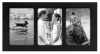 Malden Linear Black 3-Opening Wood Picture Frame