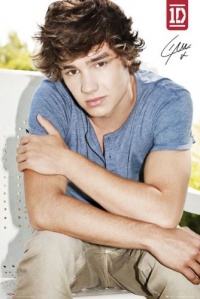 (24x36) One Direction Liam Music Poster (24x36) One Direction Liam Music Poster