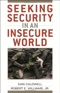 Seeking Security in an Insecure World Seeking Security in an Insecure World