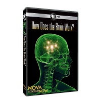 Nova Science Now: How Does the Brain Work Nova Science Now: How Does the Brain Work