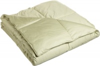 Blue Ridge Home Fashions 300-Thread Count Down Alternative Full/Queen Comforter, Sage Blue Ridge Home Fashions 300-Thread Count Down Alternative Full/Queen Comforter, Sage