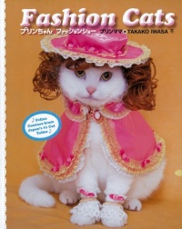 Fashion Cats Fashion Cats