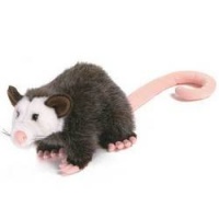 Plush Opossum 10 Plush Opossum 10