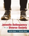 Juvenile Delinquency in a Diverse Society