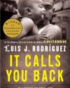 It Calls You Back: An Odyssey through Love, Addiction, Revolutions, and Healing