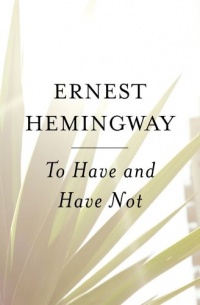 To Have and Have Not To Have and Have Not