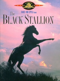 The Black Stallion The Black Stallion