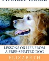 Finally Home: Lessons on Life from a Free-Spirited Dog