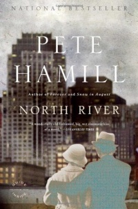 North River: A Novel