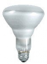 Philips 248872 Soft White 65-Watt BR30 Indoor Flood Light Bulb, 12-Pack Philips 248872 Soft White 65-Watt BR30 Indoor Flood Light Bulb, 12-Pack