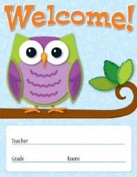 Carson Dellosa Colorful Owls Welcome Chart (114198) Carson Dellosa Colorful Owls Welcome Chart (114198)