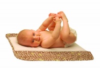 Ah Goo Baby Plush Pad with Memory Foam, Chocolate/Green Circles Ah Goo Baby Plush Pad with Memory Foam, Chocolate/Green Circles