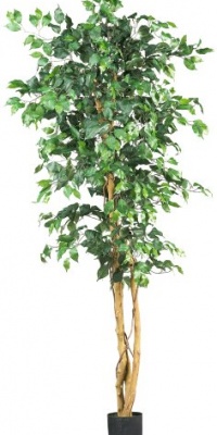 Nearly Natural 5209 Ficus Silk Tree, 6-Feet, Green Nearly Natural 5209 Ficus Silk Tree, 6-Feet, Green