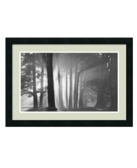 Get lost in the woods of Harding Park, a wilder side of San Francisco. Brilliant rays stream in through the trees in Mark Citret's dreamy black-and-white print. With a matte-black frame. Get lost in the woods of Harding Park, a wilder side of San Francisco. Brilliant rays stream in through the trees in Mark Citret's dreamy black-and-white print. With a matte-black frame.
