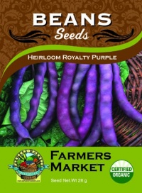 Organic Heirloom Royalty Purple Bush Beans Seeds Organic Heirloom Royalty Purple Bush Beans Seeds