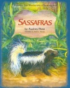 Sassafras