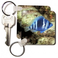Indigo hamlet, Fish, Caribbean - NA02 MDE0024 - Michael DeFreitas - Set Of 2 Key Chains Indigo hamlet, Fish, Caribbean - NA02 MDE0024 - Michael DeFreitas - Set Of 2 Key Chains