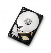 HGST Deskstar 3.5-Inch 500GB 7200RPM SATA II 16MB Cache Internal Hard Drive (0F10381) HGST Deskstar 3.5-Inch 500GB 7200RPM SATA II 16MB Cache Internal Hard Drive (0F10381)