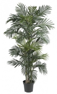 Nearly Natural 5289 Golden Cane Palm Silk Tree, 6.5-Feet, Green Nearly Natural 5289 Golden Cane Palm Silk Tree, 6.5-Feet, Green