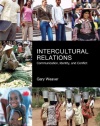 Intercultural Relations: Communication, Identy and Conflict