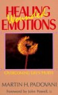 Healing Wounded Emotions: Overcoming Life's Hurts (Inspirational Reading for Every Catholic) Healing Wounded Emotions: Overcoming Life's Hurts (Inspirational Reading for Every Catholic)