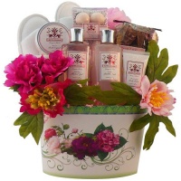 Art of Appreciation Gift Baskets   So Serene Spa, Bath and Body Set