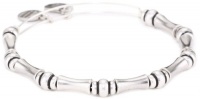 Alex and Ani Bangle Bar Russian-Silver Bamboo Expandable Bracelet Alex and Ani Bangle Bar Russian-Silver Bamboo Expandable Bracelet