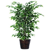 Bushes 48 Artificial Potted Natural Variegated Ficus Tree in Dark Green Bushes 48 Artificial Potted Natural Variegated Ficus Tree in Dark Green