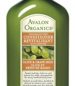 Avalon Olive & Grape Seed Moisturizing Conditioner, 11-Ounce Bottles (Pack of 2)