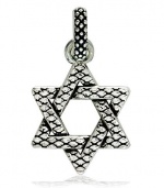 Sterling Silver 925 Large Hardcore Metal Snake Skin Star of David Pendant, Jewish Star, 1 Inch