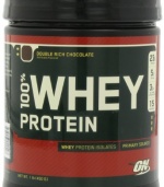 Optimum Nutrition 100% Whey Protein, Double Rich Chocolate, 1 Pound (Pack of 2)