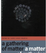 A Gathering of Matter / a Matter of Gathering (The Cave Canem Poetry Prize)